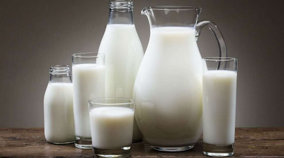 Agro rinka, pieno kaina
