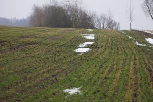 NMA parama, žemės ūkio naujienos, pieno ukis