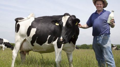 NMA parama, žemės ūkio naujienos, pieno ukis