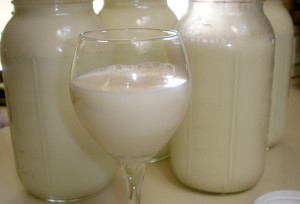 kenksmingos medžiagos piene