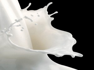 pieno savybės