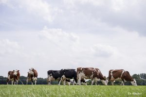 NMA parama, žemės ūkio naujienos, pieno ukis