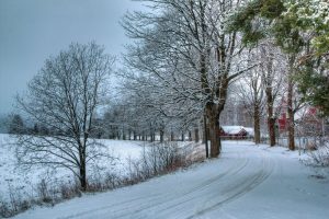 NMA parama, žemės ūkio naujienos, pieno ukis