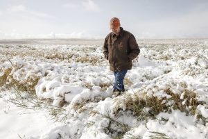 NMA parama, žemės ūkio naujienos, pieno ukis