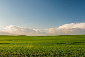 NMA parama, žemės ūkio naujienos, pieno ukis