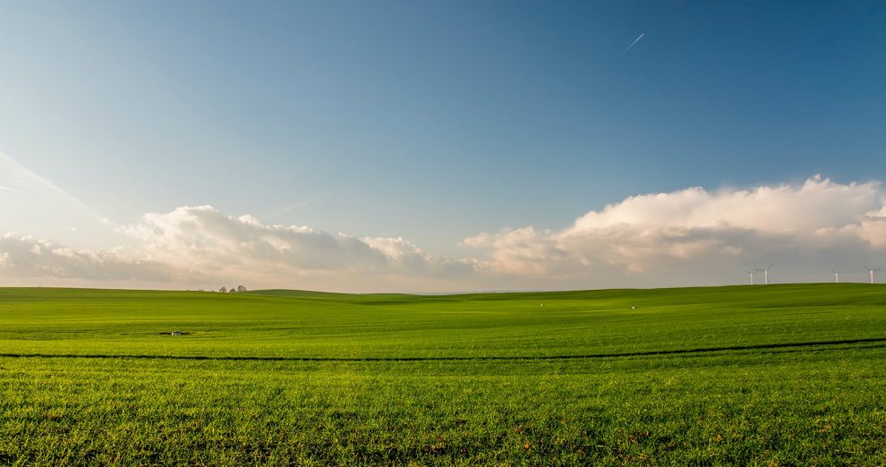 NMA parama, žemės ūkio naujienos, pieno ukis