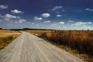 NMA parama, žemės ūkio naujienos, pieno ukis