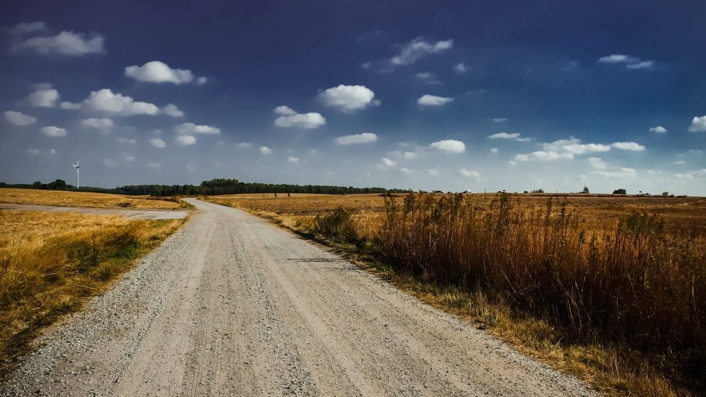 NMA parama, žemės ūkio naujienos, pieno ukis