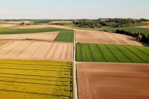 NMA parama, žemės ūkio naujienos, pieno ukis