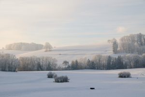 NMA parama, zemes ukio naujienos, pieno ukis