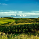 NMA parama, žemės ūkio naujienos, pieno ukis