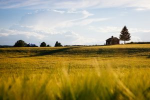 NMA parama, žemės ūkio naujienos, pieno ukis