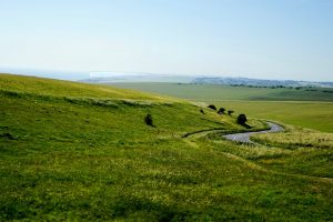 NMA parama, žemės ūkio naujienos, pieno ukis