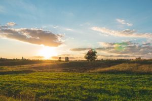 NMA parama, žemės ūkio naujienos, pieno ukis