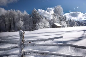 NMA parama, žemės ūkio naujienos, pieno ukis