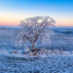 NMA parama, žemės ūkio naujienos, pieno ukis