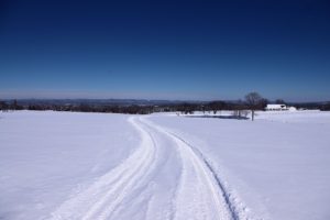 NMA parama, žemės ūkio naujienos, pieno ukis