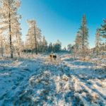 NMA parama, zemes ukio naujienos, pieno ukis