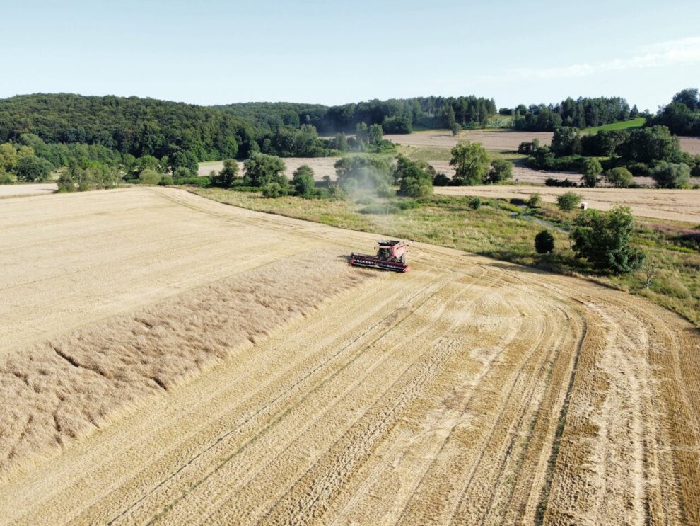 NMA parama, žemės ūkio naujienos, pieno ukis