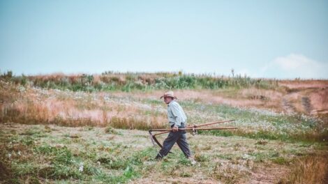 NMA parama, žemės ūkio naujienos, pieno ukis