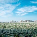 NMA parama, zemes ukio naujienos, pieno ukis