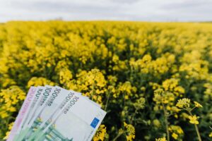 NMA parama, zemes ukio naujienos, pieno ukis