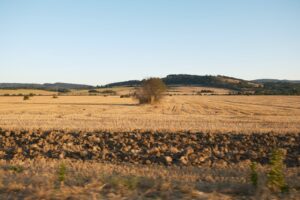 NMA parama, zemes ukio naujienos, pieno ukis