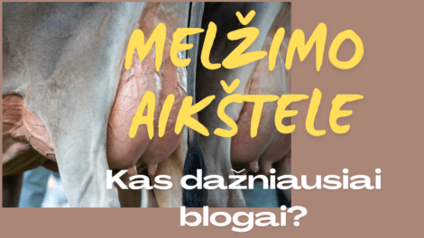 melžimo rutina, melzimas, pieno ukis