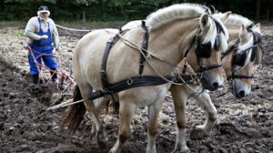 Pieno ukis, ukininkas,