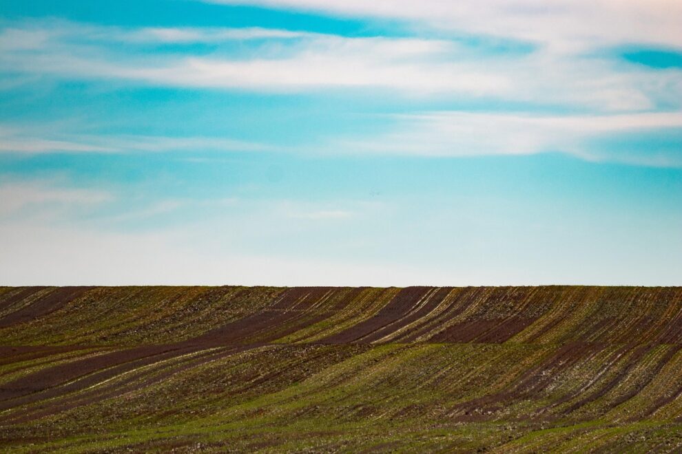 NMA parama, pieno ukis, zemes ukio naujienos