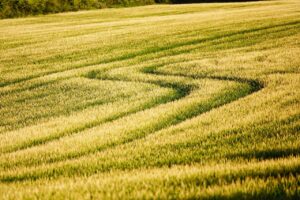 NMA parama, pieno ukis, zemes ukio naujienos