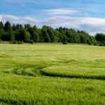 NMA parama, žemės ūkio naujienos, pieno ukis