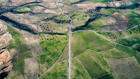 NMA parama, žemės ūkio naujienos, pieno ukis