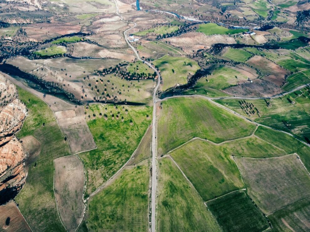 NMA parama, žemės ūkio naujienos, pieno ukis