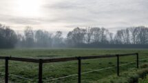 pieno gamyba, ūkininkų ūkiai